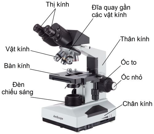 kính hiển vi olm